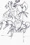 Picture of BLACK AND WHITE FLORAL LARGE