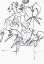 Picture of BLACK AND WHITE FLORAL SMALL