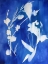 Picture of CYANOTYPE