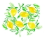 Picture of LEMONS1