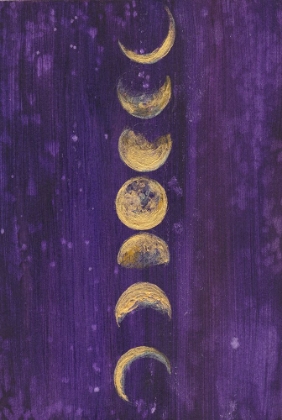 Picture of MOON PHASES