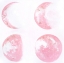 Picture of MOON PHASES IN PINK