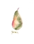 Picture of PEAR1