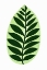 Picture of AGOT (GREEN A WHITE)