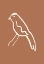 Picture of BLUE BIRD