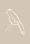Picture of BLUE BIRD