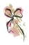 Picture of BOTANICAL PINK GREEN 5