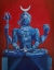 Picture of IAME SHIVA