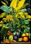 Picture of BOTANICAL FUSION 1