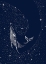 Picture of STARRY WHALE