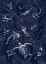 Picture of COSMIC OCEAN