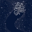 Picture of STARRY OCTOPUS
