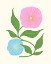 Picture of SPRING BLOSSOM