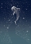 Picture of STAR EATER VERSION.2 TURQUOISE