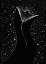 Picture of STAR COLLECTOR (BLACK VERSION)