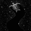 Picture of STARRY TURTLE  (BLACK VERSION)