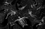 Picture of COSMIC OCEAN  (BLACK VERSION)