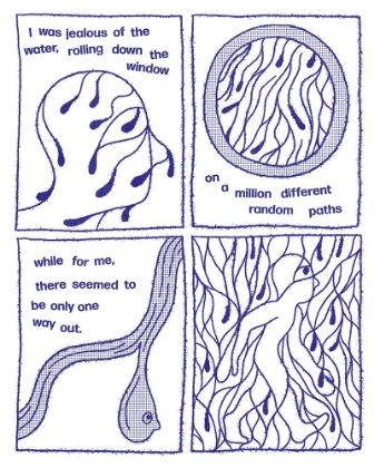 Picture of DETERMINISM