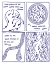 Picture of DETERMINISM