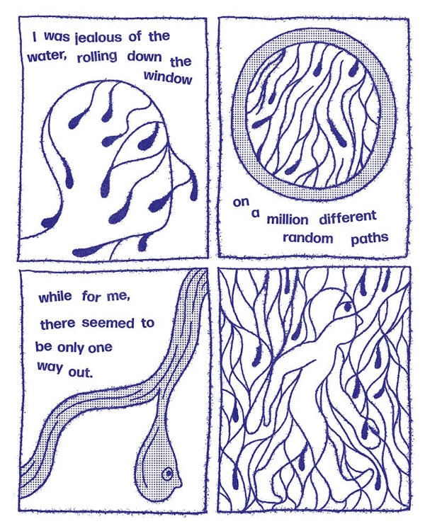 Picture of DETERMINISM
