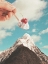 Picture of ICE CREAM SUNDAE SUMMIT