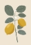 Picture of LEMON VIBES 01