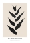 Picture of BOTANICAL COLLECTION NR. 3