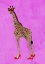Picture of GIRAFFE WEARING HEELS AND HEART GLASSES PINK