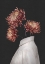 Picture of IN BLOOM (DARK)