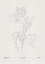 Picture of IN TULIPS (BLUE)
