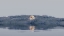 Picture of LANDSCAPEJANUARY1 3H I43 I4