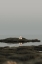 Picture of LANDSCAPEJANUARY1 2V I49 I4