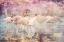 Picture of FLAMINGO WALL ART 01
