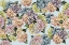Picture of HYDRANGEAS_SKY