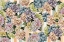 Picture of HYDRANGEAS_STRIPES