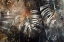 Picture of MONSTERA WALL ART 09