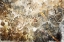 Picture of FLOWER WALL ART 18
