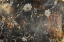 Picture of FLOWER WALL ART 33
