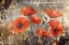Picture of FLOWER WALL ART 34