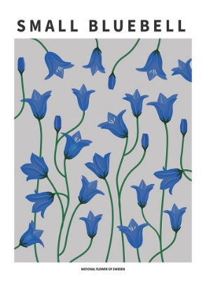Picture of SMALL BLUEBELL - NATIONAL FLOWER OF SWEDEN