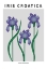 Picture of IRIS CROATICA - NATIONAL FLOWER OF CROATIA