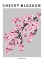 Picture of CHERRY BLOSSOM - NATIONAL FLOWER OF JAPAN