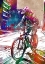 Picture of SPORT CYCLING ART