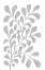 Picture of GREY PAINT PLANT