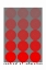 Picture of BAUHAUS CONTRAST OF SATURATION