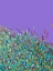Picture of PLANET OF COLOUR