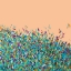 Picture of PLANET OF COLOUR