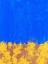Picture of FLOWER BED ABSTRACT