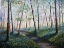 Picture of A WALK IN THE WOODS