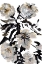 Picture of LE JARDIN BOTANIQUE BLACK AND WHITE FLOWER